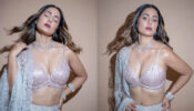 Hina Khan’s burning hot deep-neck shimmery lehenga will burn hearts