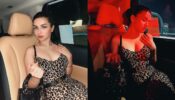 In pics: Avneet Kaur’s bold and beautiful cheetah avatar in Abu Dhabi