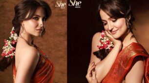 In pics: Elli Avram looks the ultimate beauty in a brown tube blouse saree