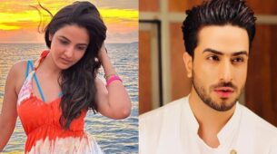 Jasmin Bhasin enjoys beauty of sunset in expensive cruise, Aly Goni is all hearts