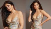 Katrina Kaif looks dazzling hot in a multicolored backless gown, See her look