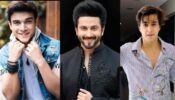 Krishna Kaul, Dheeraj Dhoopar, and Mohsin Khan: Fan-Favorite Actors And Their Charismatic Smiles