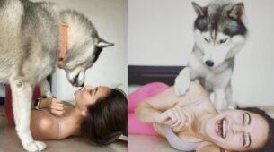 Kriti Kharbanda sharing photos of her pet dogs will melt your heart