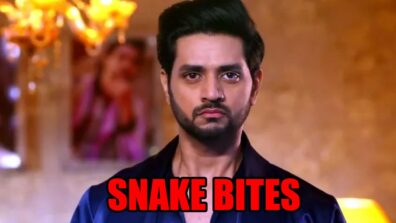 Kundali Bhagya: A snake bites Arjun on the plane