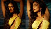 Malavika Mohanan is ‘picture perfect’ mermaid in yellow, see photodump
