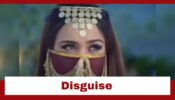 Meet: Meet Hooda dons the disguise of a Rani