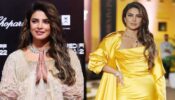 Priyanka Chopra’s Glamorous Looks At International Film Festival Will Leave You Astonished