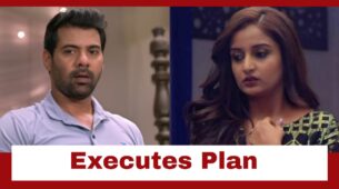 Pyar Ka Pehla Naam Radha Mohan: Mohan executes his plan to trap Damini