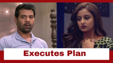 Pyar Ka Pehla Naam Radha Mohan: Mohan executes his plan to trap Damini