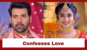 Pyar Ka Pehla Naam Radha Mohan: Radha confesses her love before Mohan
