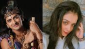 RadhaKrishn fame Sumedh Mudgalkar says, “some parts of life are inevitable”, Mallika Singh talks about ‘true love’