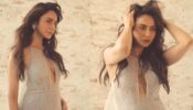 Rakul Preet Singh’s Embellished See-through Thigh-High Slit Gown Is Perfect For Party Wear