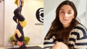 See the world ‘upside down’ with Alia Bhatt