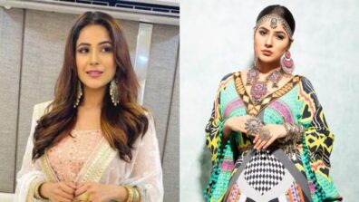 Shehnaaz Gill Teaches To Slay In Punjabi Suits