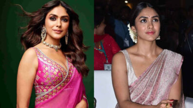 Show-Stealing Simplicity Of Mrunal Thakur In Sarees, Check Out Her Ethnic Touch