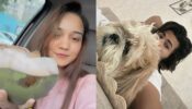 Siddharth Nigam and Ashi Singh’s candid selfies are too cute to handle