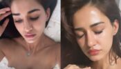 Sizzling Babe: Disha Patani is taking over internet by storm in plunging neckline outfit selfies, get ready to feel the heat