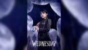 These Are The Reasons You Should Watch Wednesday Now, Check Out