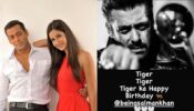 “Tiger Ka Birthday,” Katrina Kaif Wishes #OG Salman Khan; Check Out