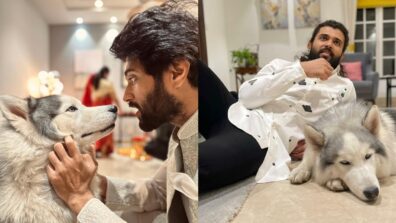 Times When Vijay Deverakonda Shared Cozy Moments With Pet Dog Storm; See Pics