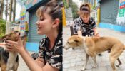 TMKOC: Munmun Dutta shares adorable moment with pet dog, internet in awe