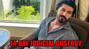 Tunisha Sharma Suicide Case: Sheezan Khan sent to 14-day judicial custody