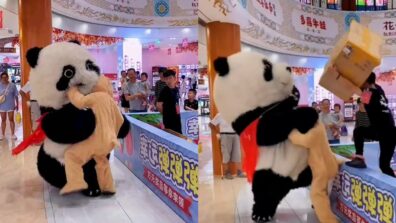 Viral Clip Of A Man Dressed As Panda Fighting With Another Man Dressed As A Cartoon Is Circulating On The Web; Watch