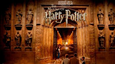 Warner Bros TV CEO to release Harry Potter television series soon, deets inside