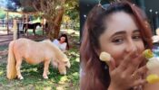 What’s keeping Divyanka Tripathi and Rashami Desai busy?