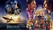 Will The Avatar Tsunami Mow Down Cirkus?