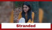 Yeh Rishta Kya Kehlata Hai: Akshara gets stranded in jungle; worries about her babies