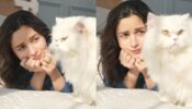 Alia Bhatt gets royally ignored, who dared to do so?