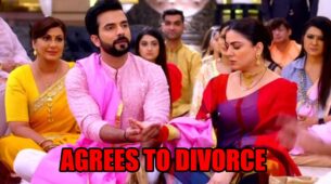 Kundali Bhagya: Rishabh agrees to divorce Preeta