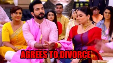 Kundali Bhagya: Rishabh agrees to divorce Preeta