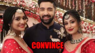 Bhagya Lakshmi: Lakshmi to convince Rishi to marry Malishka
