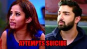 Bhagya Lakshmi: Malishka attempts suicide in front of Rishi