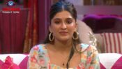 Bigg Boss 16: Nimrit becomes captain in Ticket to Finale week