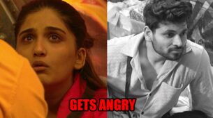 Bigg Boss 16: Nimrit Kaur Ahluwalia gets angry at Shiv Thakare for choosing Priyanka Chahar Choudhary over her