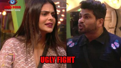 Bigg Boss 16: Priyanka Chahar Choudhary and Shiv Thakare get into an ugly fight during ticket to finale task
