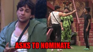 Bigg Boss 16: Shalin Bhanot asks MC Stan and Shiv Thakare to nominate him, says, ‘I have nobody to talk to’
