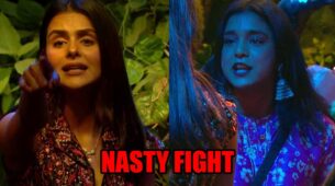 Bigg Boss 16: Sumbul Touqeer Khan and Priyanka Chahar Choudhary get into a nasty fight during nomination task