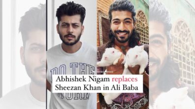 Breaking: Abhishek Nigam replaces Sheezan Khan in Ali Baba Dastaan-E-Kabul, deets inside