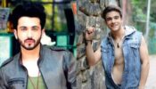 Fan Battle: Dheeraj Dhoopar Or Krishna Kaul; Who You Are Crushing On?