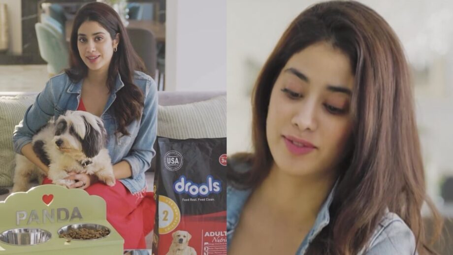 Get 'pet friendly' with gorgeous Janhvi Kapoor 762618