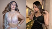Hina Khan’s everyday diet regimen