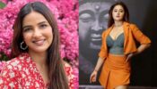 In Pics: Rashami Desai and Jasmin Bhasin are queens of sensuality