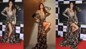 In Pics: Shriya Saran Looks Tempting In Brown Georgette High-Slit Bodysuit