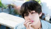 Is BTS member V planning to get a new pet dog? (Know the truth)