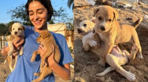 It’s ‘awesome pawsome’ time for ‘cutie pie’ Ananya Panday