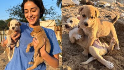 It’s ‘awesome pawsome’ time for ‘cutie pie’ Ananya Panday